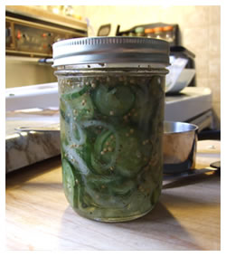 Photo of Icicle Pickles